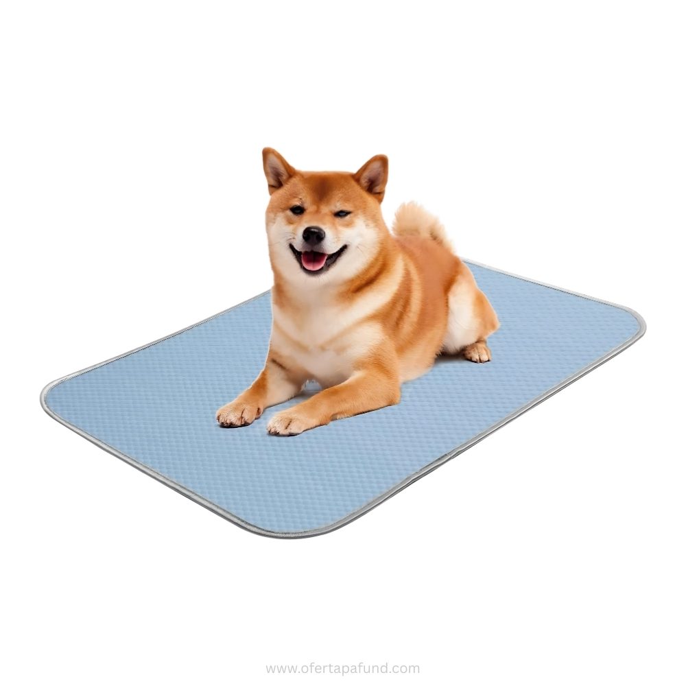 Ulëse për Kafshë Shtëpiake